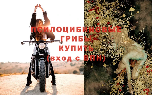 дживик Нефтегорск