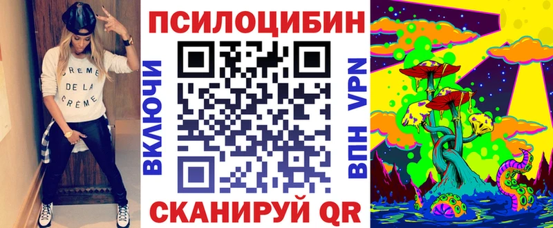магазин    KRAKEN зеркало  Псилоцибиновые грибы Psilocybine cubensis  Семилуки 