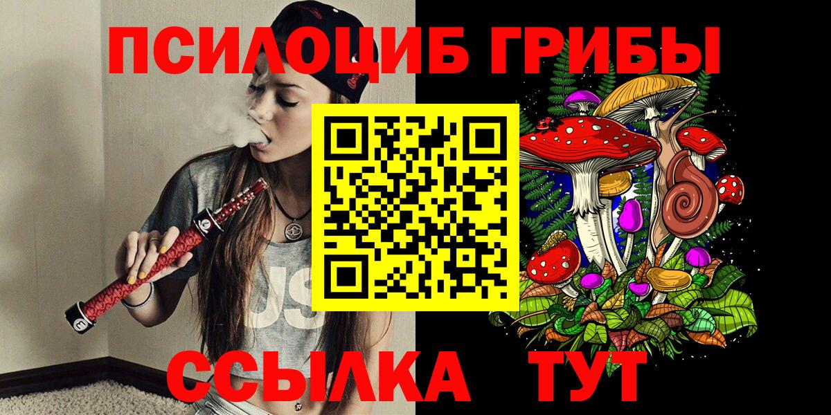 Псилоцибиновые грибы Psilocybe  Псилоцибиновые грибы прущие грибы  цены   Вход с VPN  Семилуки 