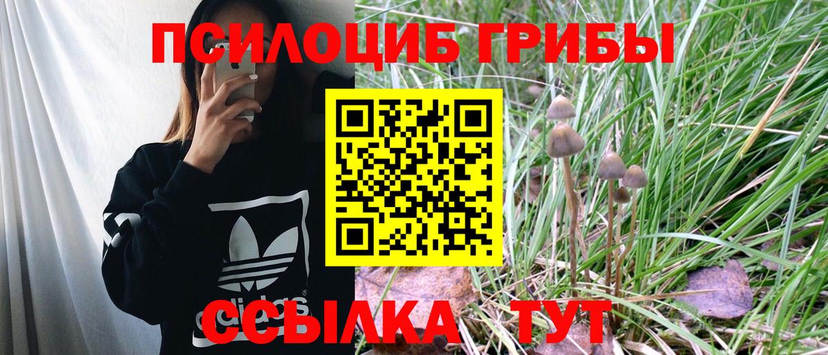 Псилоцибиновые грибы ЛСД Семилуки